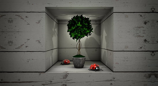 green leafed plant on gray pot thumbnail
