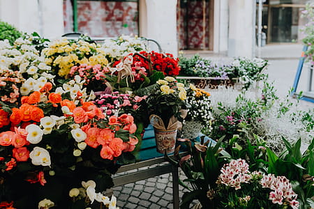 Flower shop in Castelfranco Veneto, Italy thumbnail