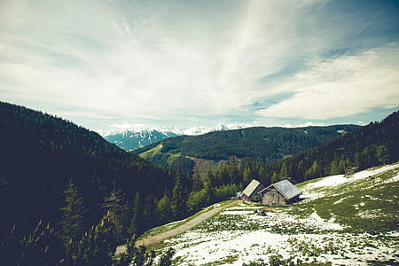 wooden shed on mountain side near forest thumbnail