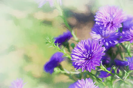 selective focus photo of purple cluster petaled flowers thumbnail