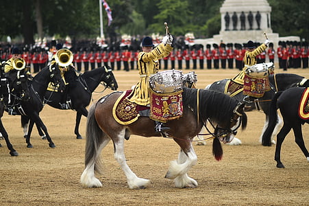 people riding on horses with drums thumbnail