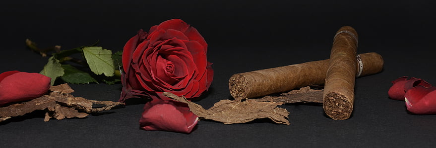red Rose and two tobacco's on black surface thumbnail