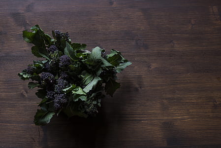 green leaves on table thumbnail