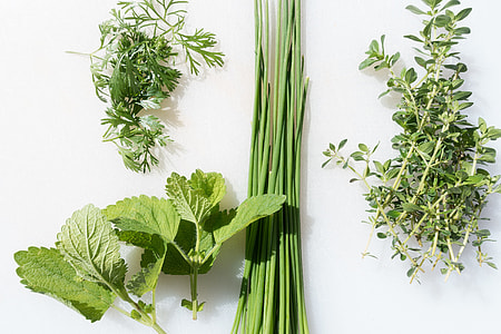 green herbal leafs thumbnail