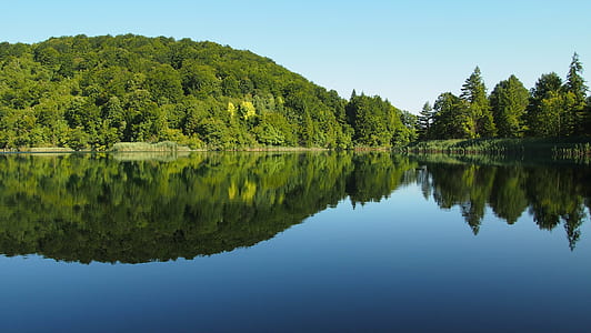 nature photography of trees and river thumbnail