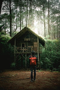 person looking at cabin during daytime thumbnail