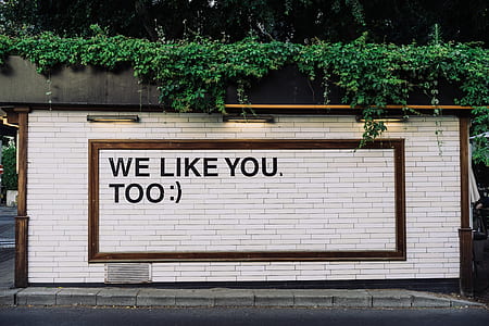 photo of white concrete wall with text overlay thumbnail