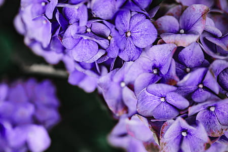 Pantone Colour Of The Year 2018: Ultra Violet thumbnail