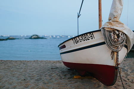 white and red canoe on seashore during daytime thumbnail