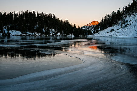 body of water surrounded of trees thumbnail