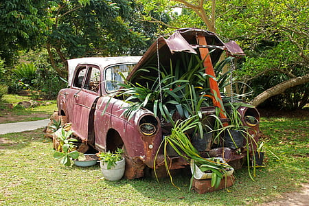 brown vehicle with plants thumbnail