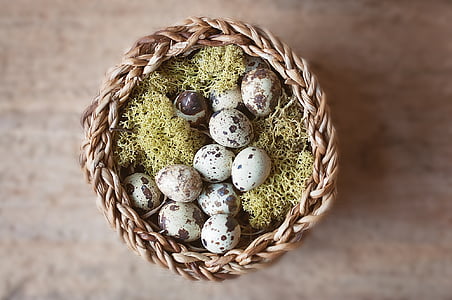 basket of quail eggs thumbnail
