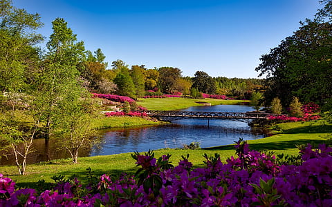 river near green trees with black bridge at daytime thumbnail