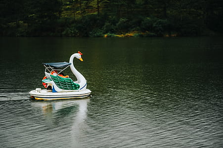 Swan Boat in Body of Water thumbnail