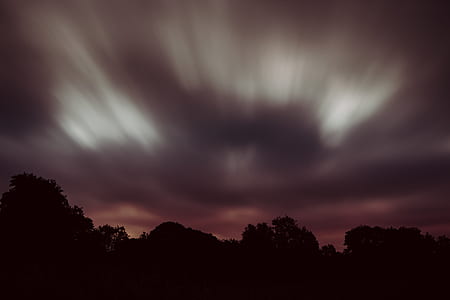 silhouette of trees thumbnail