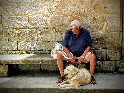man sitting on gray concrete bench holding pet leash thumbnail