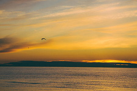 Sunset thumbnail