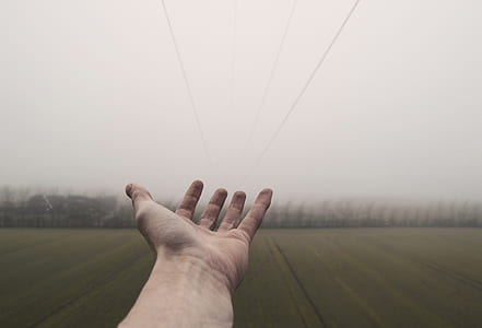 person standing on green field with misty weather thumbnail
