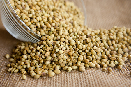 brown beans on top gray surface thumbnail