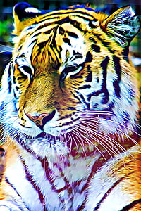 brown tiger thumbnail