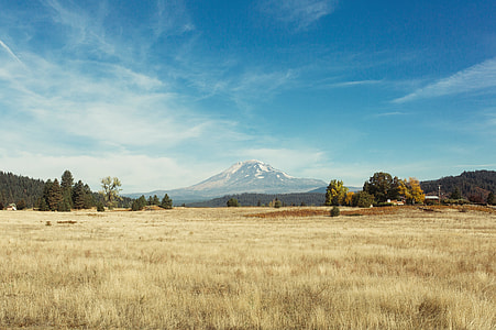brown grass field near mountain at daytime thumbnail
