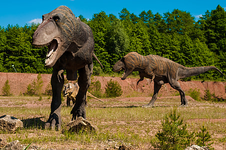 two dinosaurs on green grass filed near green trees field during daytime thumbnail