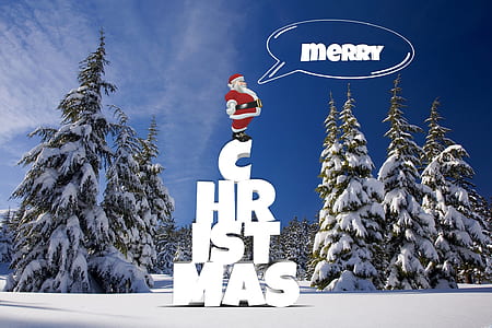 pine trees cover with snow Merry Christmas illustration thumbnail
