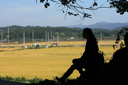 silhouette of person sitting while looking on field thumbnail