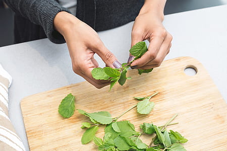 Woman Tearing Mint Leaves Photo thumbnail