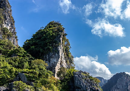 mountain top with trees thumbnail