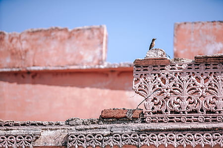 closeup photo of gray concrete building at daytime thumbnail