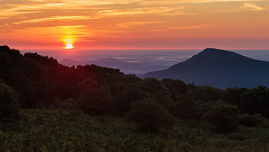 trees in mountain range during golden hour thumbnail