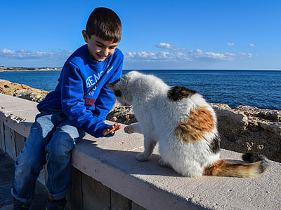 calico cat sitting beside boy thumbnail