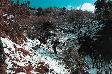 People Walking Near Green Leaf Trees Under White Clouds at Daytime thumbnail