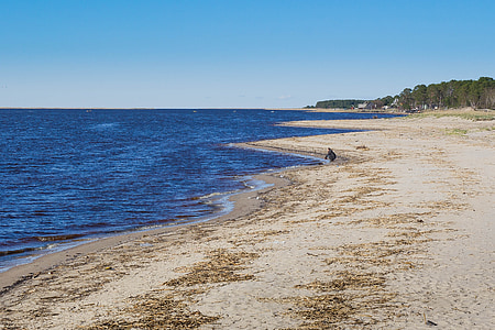 person sitting at beach under blue sky daytime thumbnail