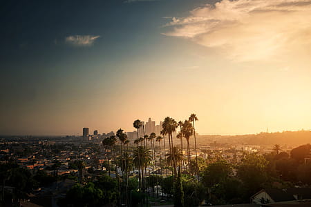 Sunset in LA thumbnail