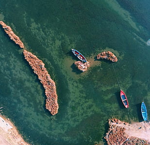 bird's eye view of canoes on body of water thumbnail