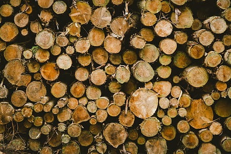 brown logs thumbnail