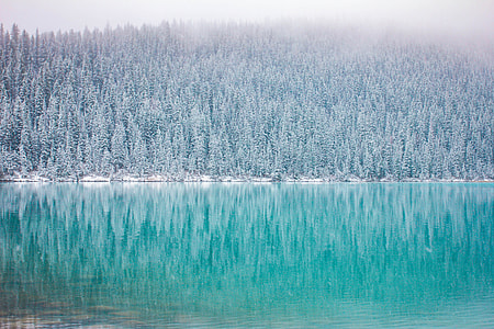 blue body of water on front of trees under sky thumbnail