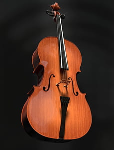 brown cello thumbnail