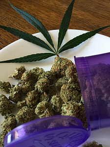 green kush on top plate thumbnail
