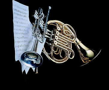 gray trumpet thumbnail