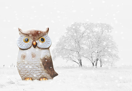 brown owl figurine on snow thumbnail