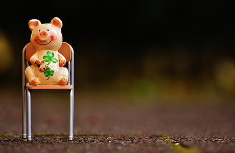 selective focus photography of pig figurine on chair thumbnail