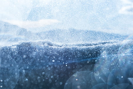 tundra bokeh photography thumbnail