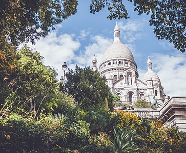 white concrete cathedral beside green trees thumbnail