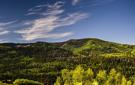 Green Tress and Mountain Under Blue Sky thumbnail