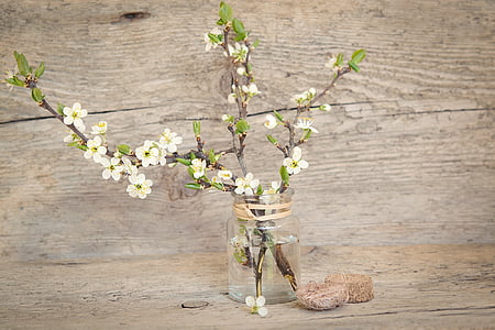white flowers in glass jar with water thumbnail