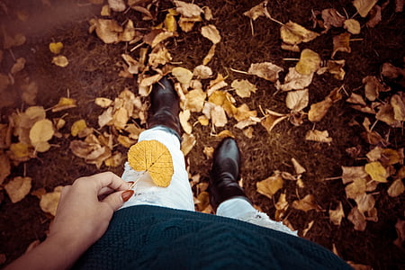 person holding brown withered leaves while standing thumbnail