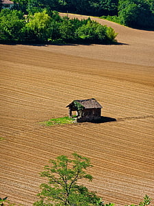 brown house in the middle of brown farm thumbnail